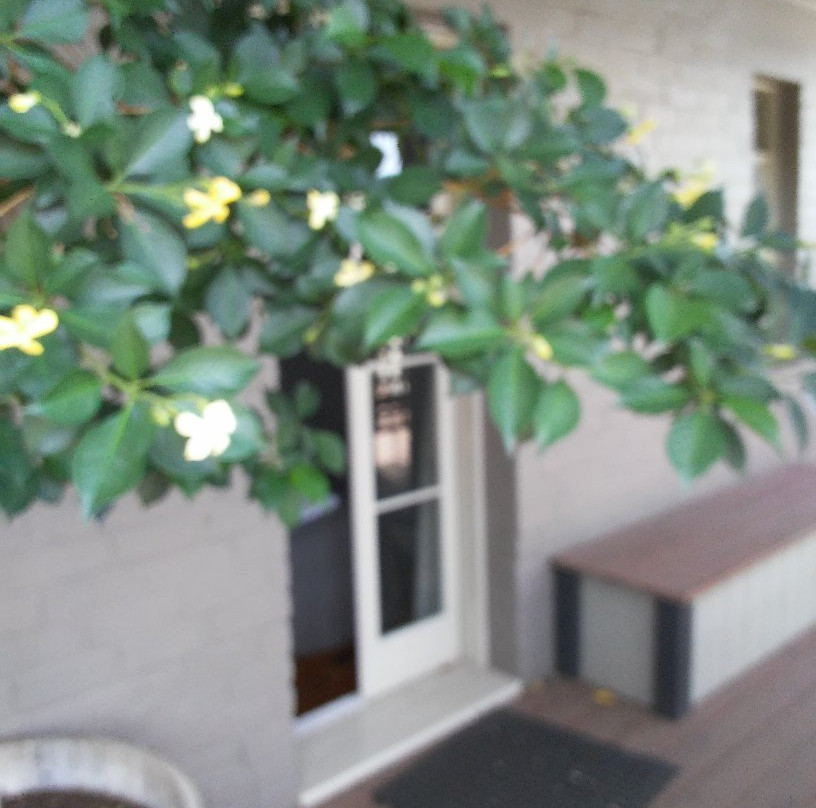 Tasmanian Inn Hotel景点图片