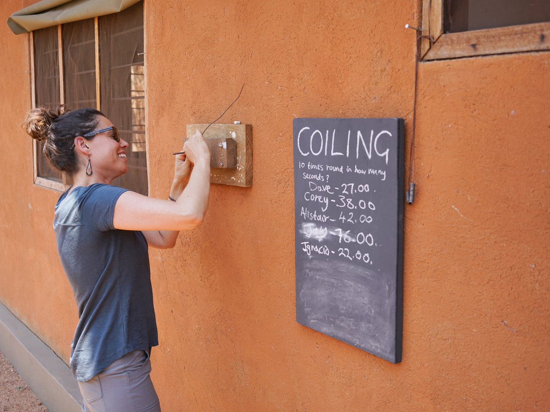 Mulberry Mongoose-南卢安瓜国家公园必去景点