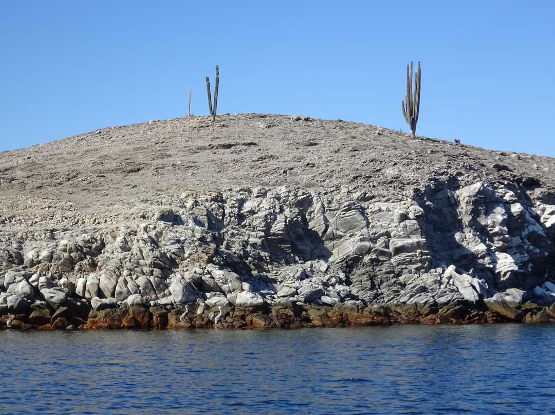 Bahia de Los Angeles景点图片
