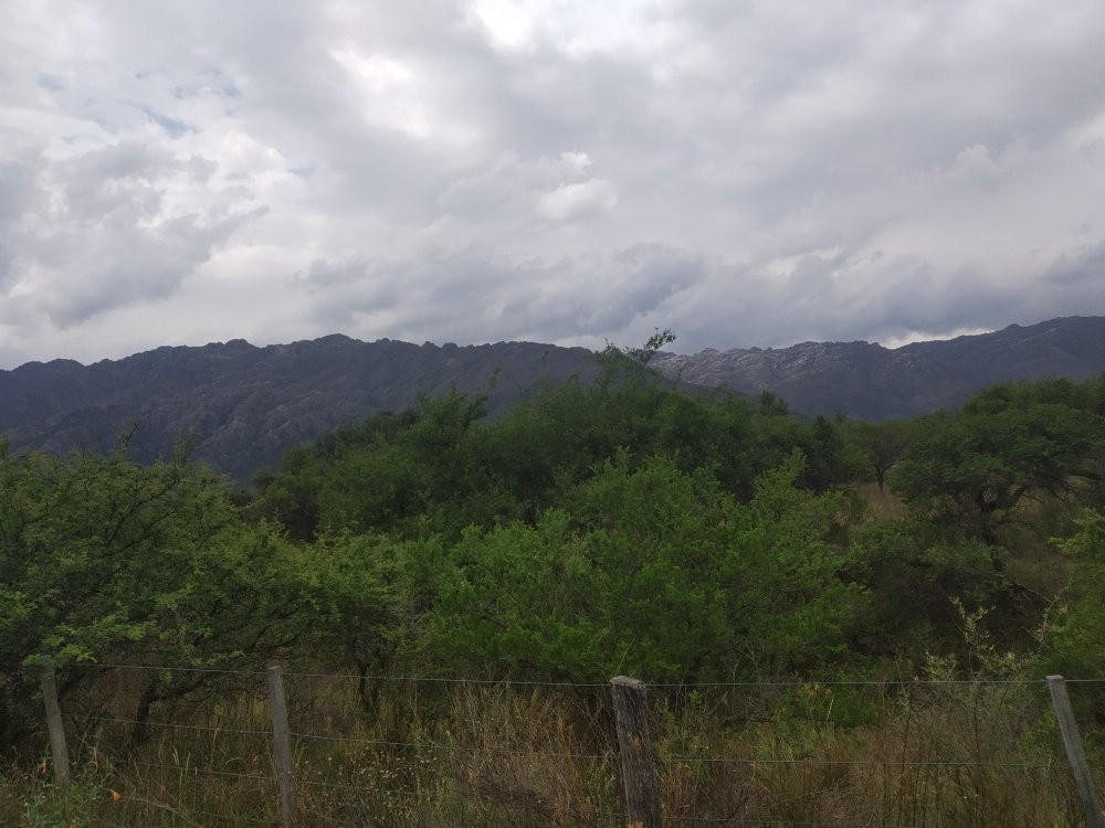 Cortaderas酒店住宿-Arlington Village Cabanas