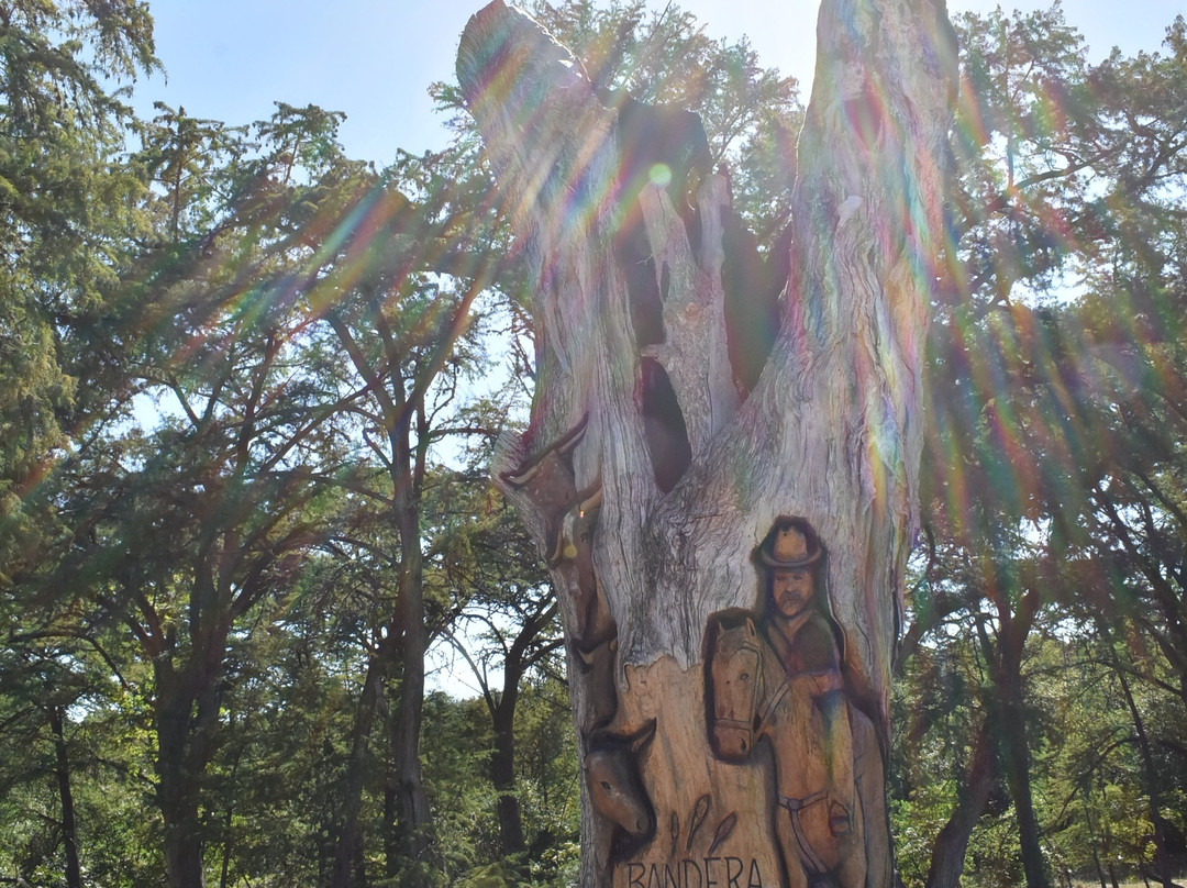 Medina River-Medina必去景点