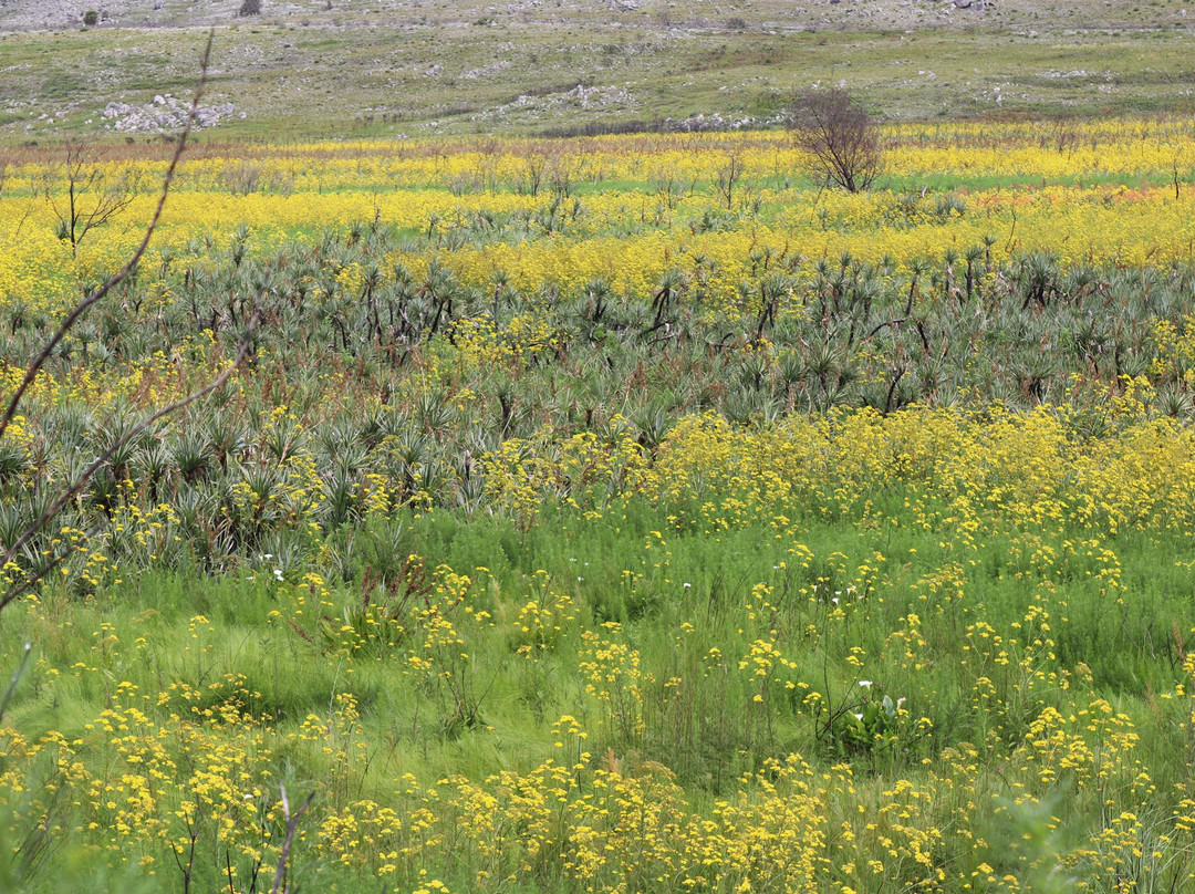 Theewaterskloof Dam-Villiersdorp必去景点