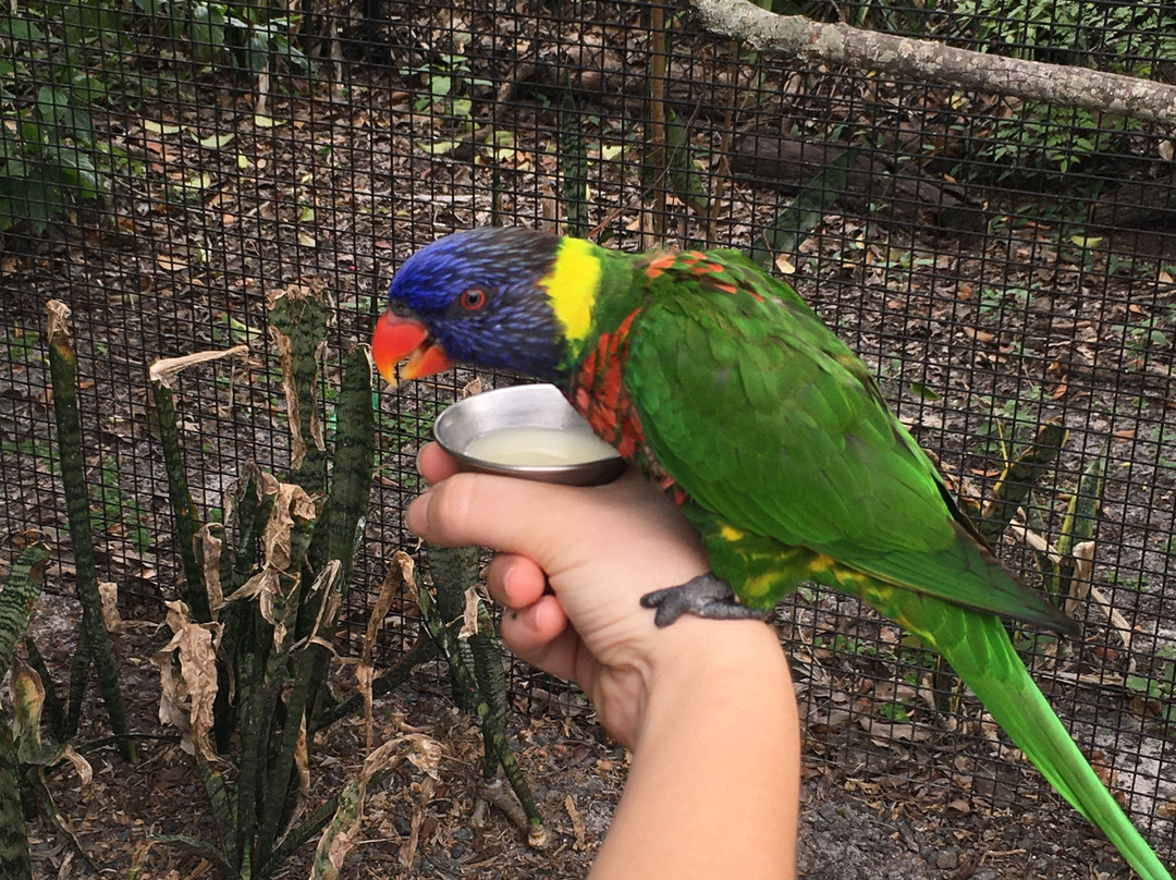 Lowry Park-坦帕必去景点