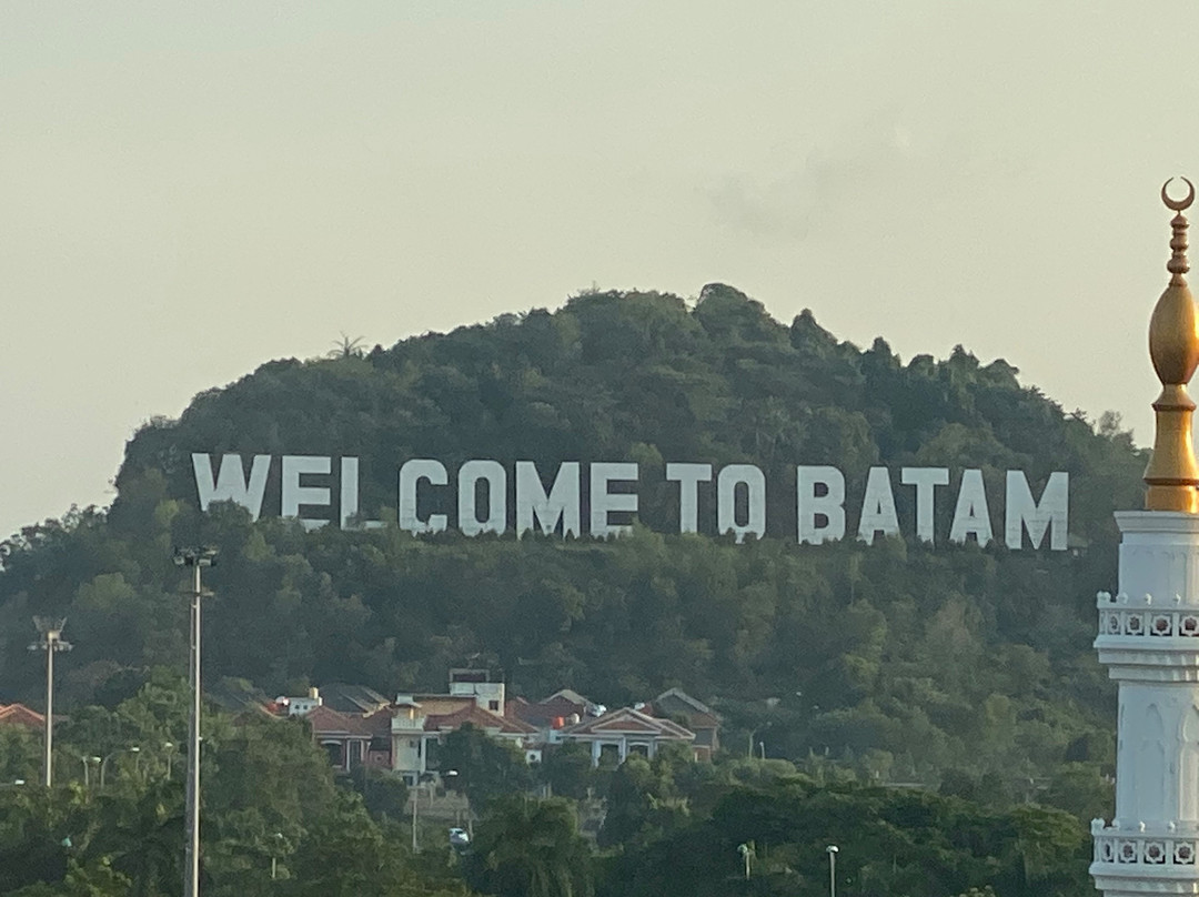 哈里斯酒店巴淡岛中心主图