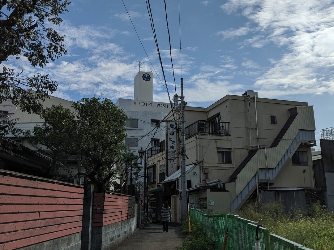 Hotel Posh主图