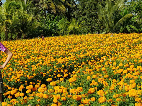 Bali Travel Expert-乌布必去景点