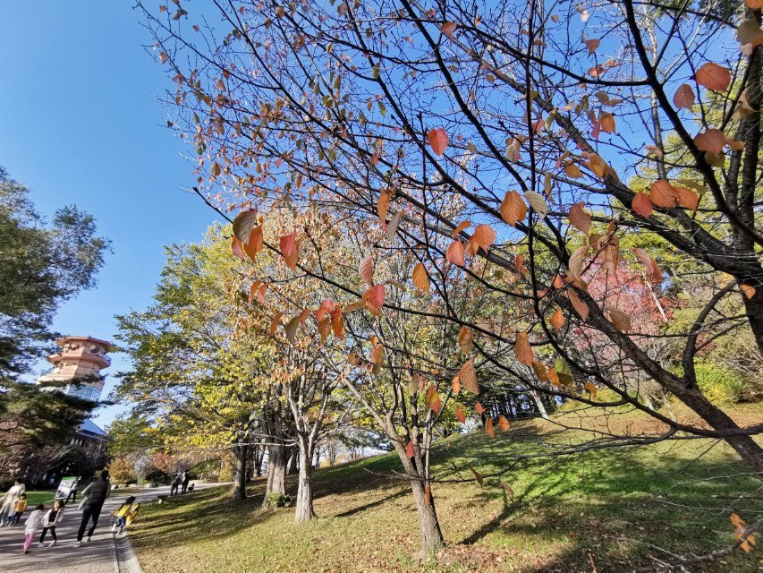 Matsumoto Alps Park-松本市必去景点