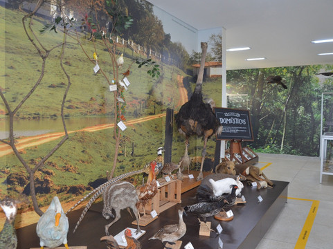 Museu de Historia Natural de Itapira-Itapira必去景点