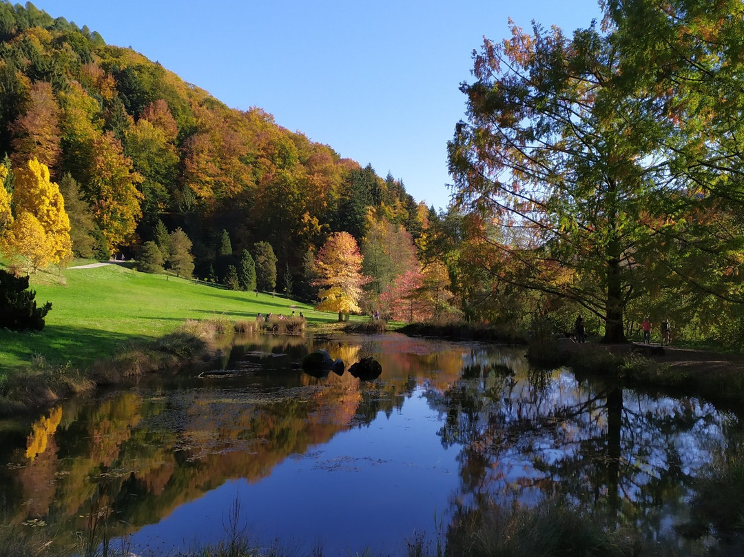 l'Arboretum du Vallon de l'Aubonne景点图片