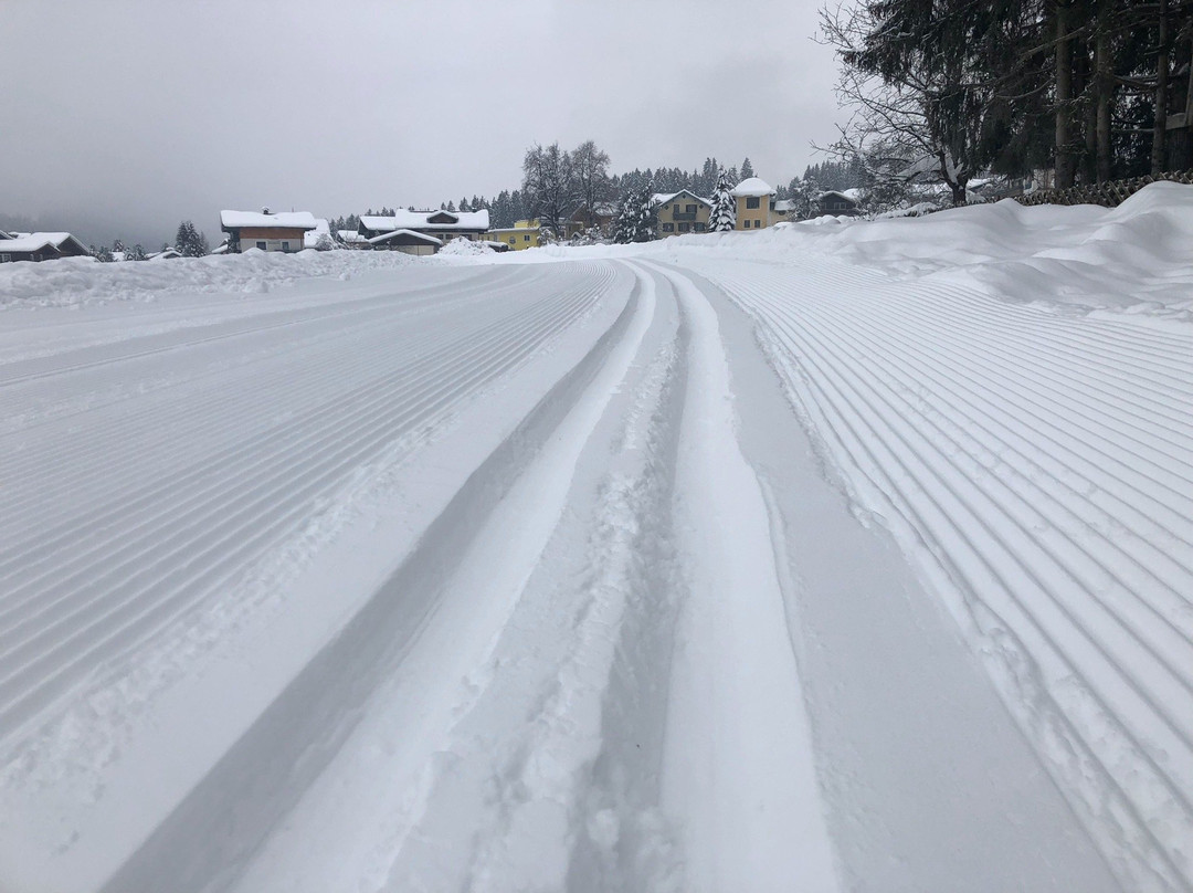 Landhaus Rohregger主图