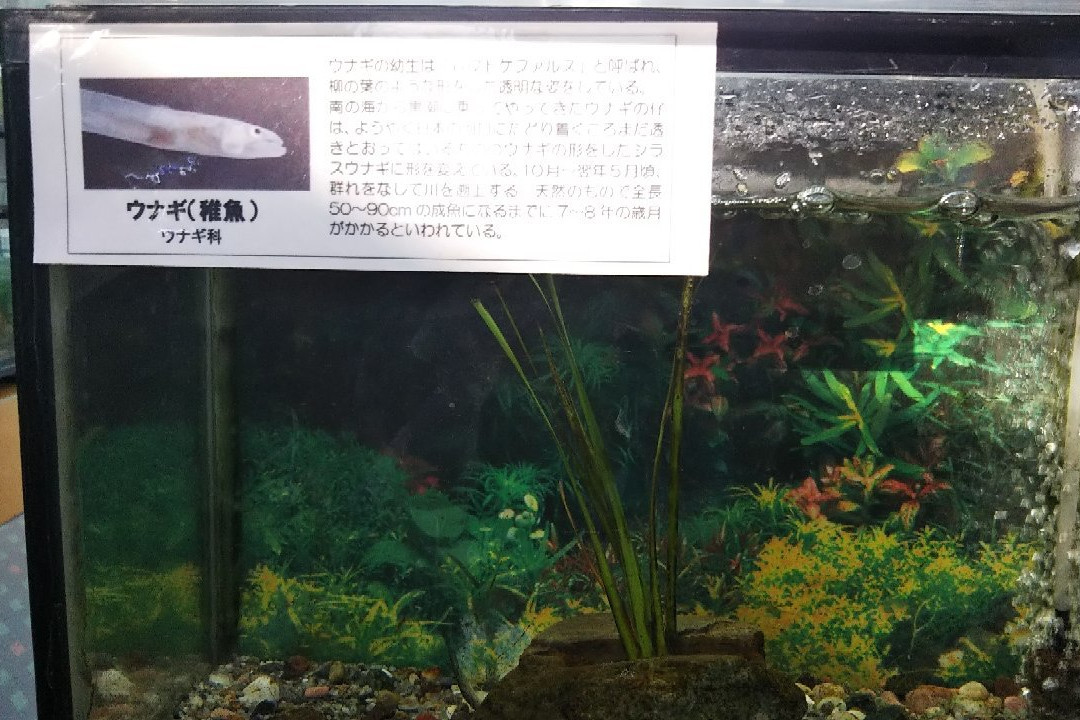 Aqua Tojo-加东市必去景点