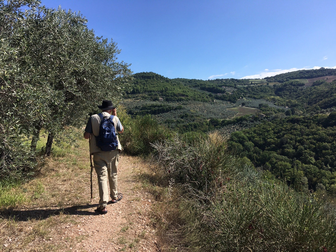 博奇宫酒店主图