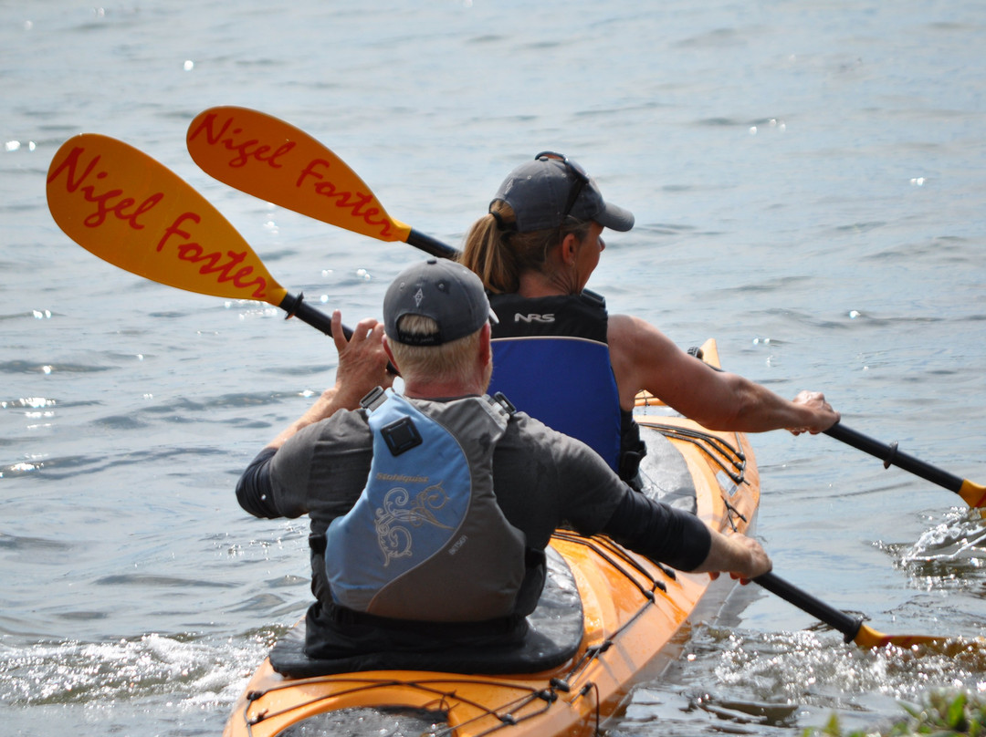 LifePlan Kajak & Friluftsliv-斯文堡必去景点