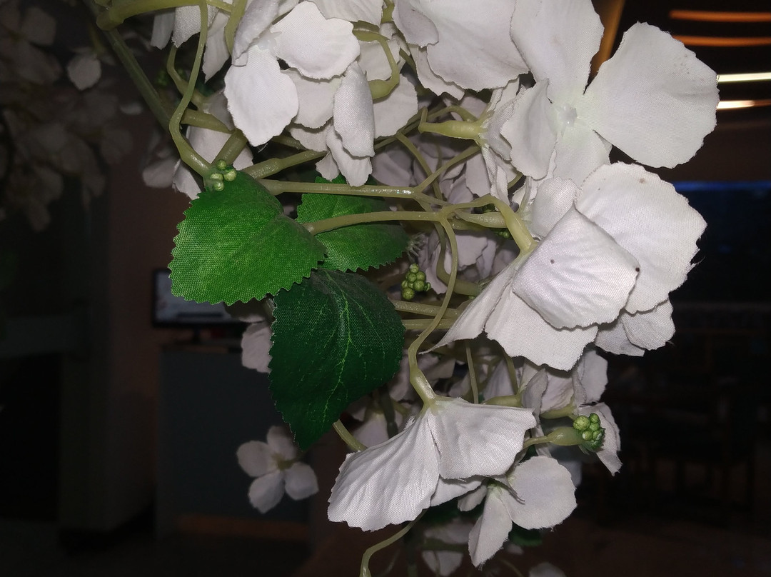 瑜伽行政酒店主图