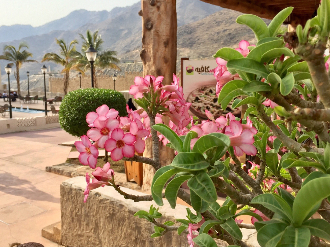 Taif旅游景点-Green Mountain Park