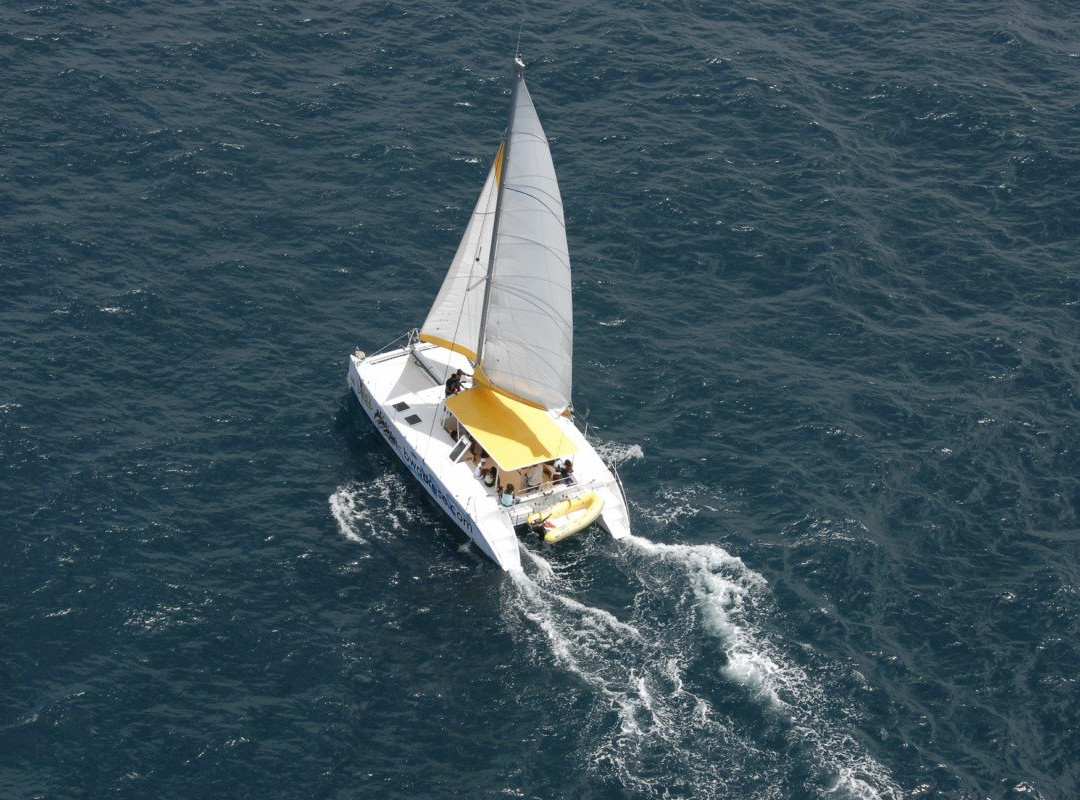 Catamaran Bwa Drese景点图片