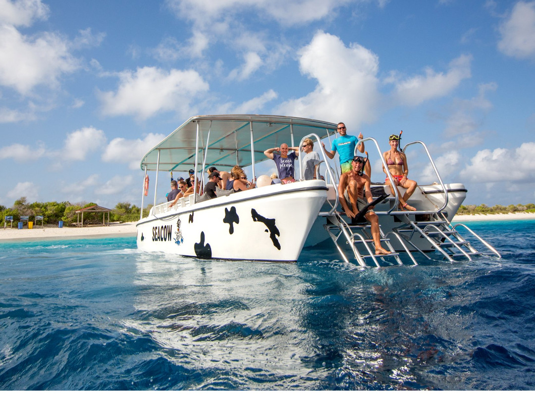 Sea Cow Snorkeling Bonaire-Kralendijk必去景点
