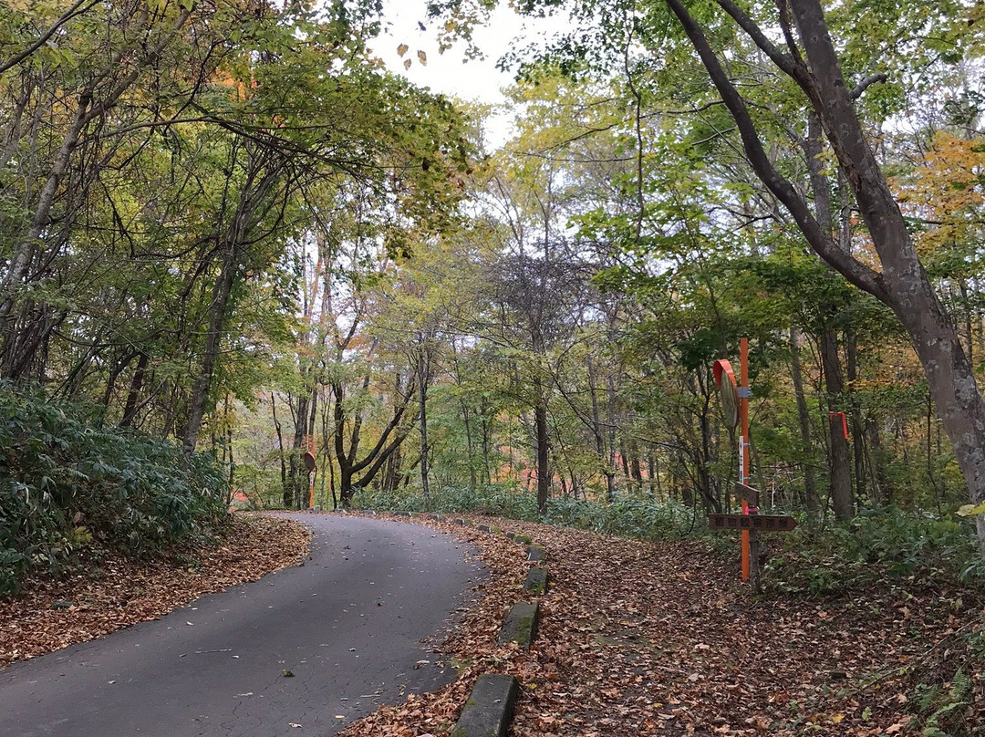 波罗多湖-白老町必去景点