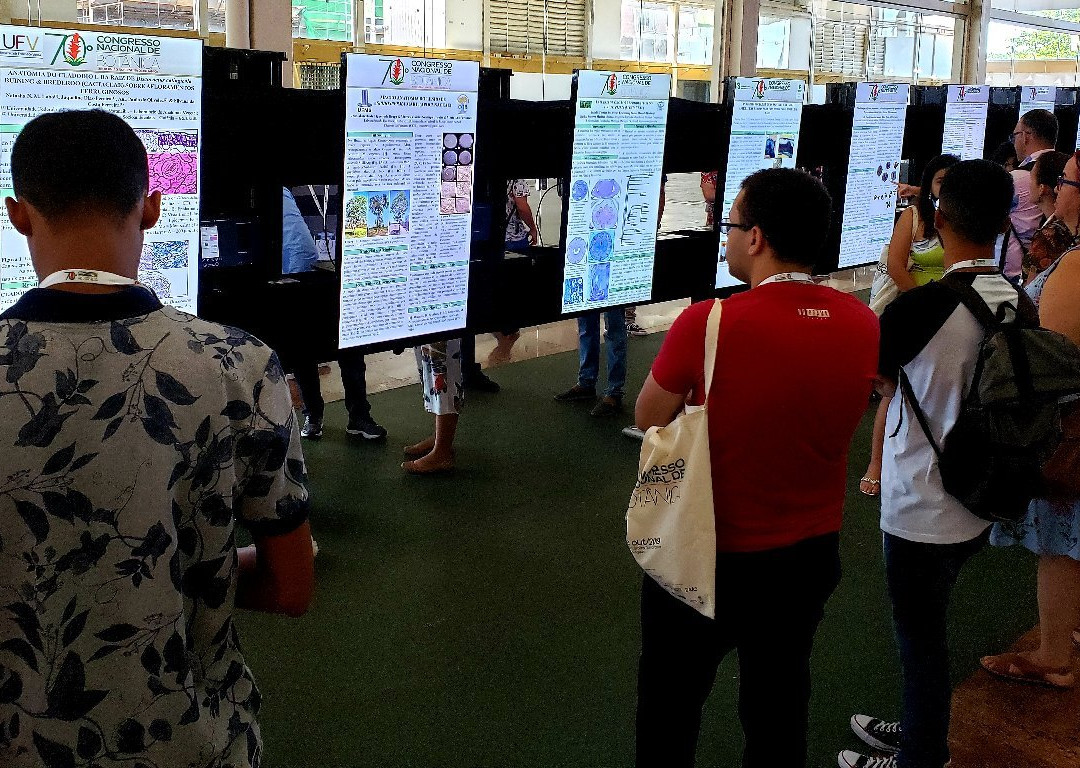 Centro Cultural & De Exposicoes Ruth Cardoso-Maceio必去景点