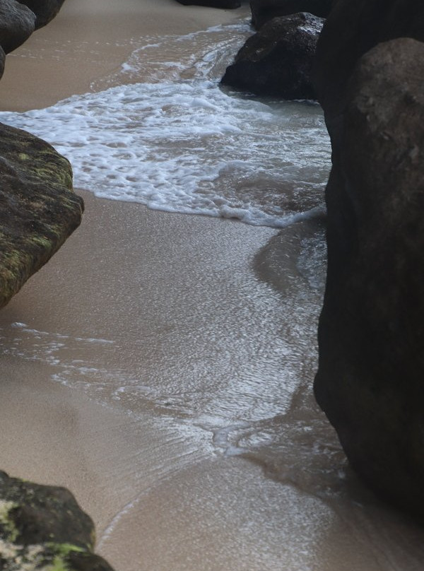 Parc a Boeuf Beach-Grand Anse必去景点