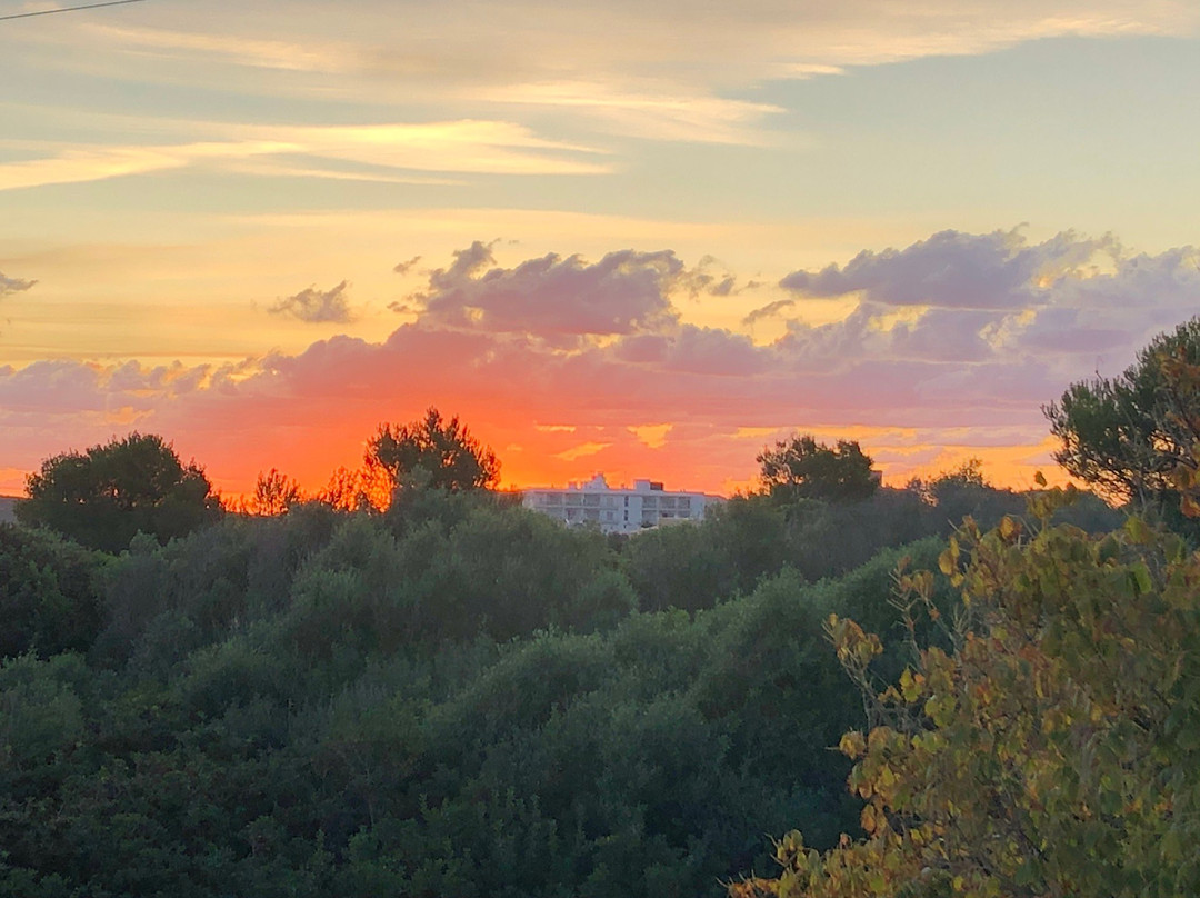 Hotel Del Almirante - Collingwood House主图