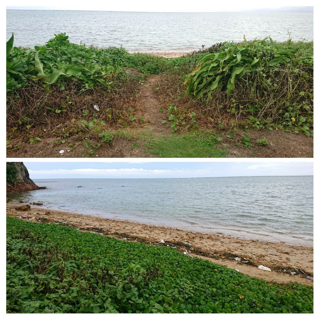 Eco Village Iriomote-泳池