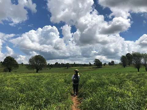 Ye Lin Kalaw Trekking-格劳必去景点
