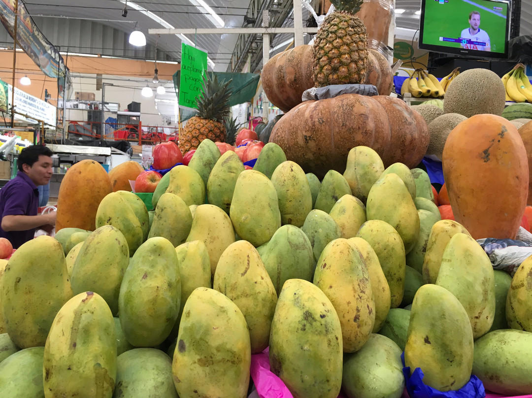 Mercado de Medellin-墨西哥城必去景点