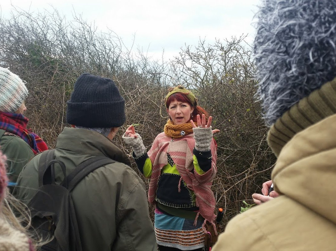 The Family Foraging Kitchen景点图片