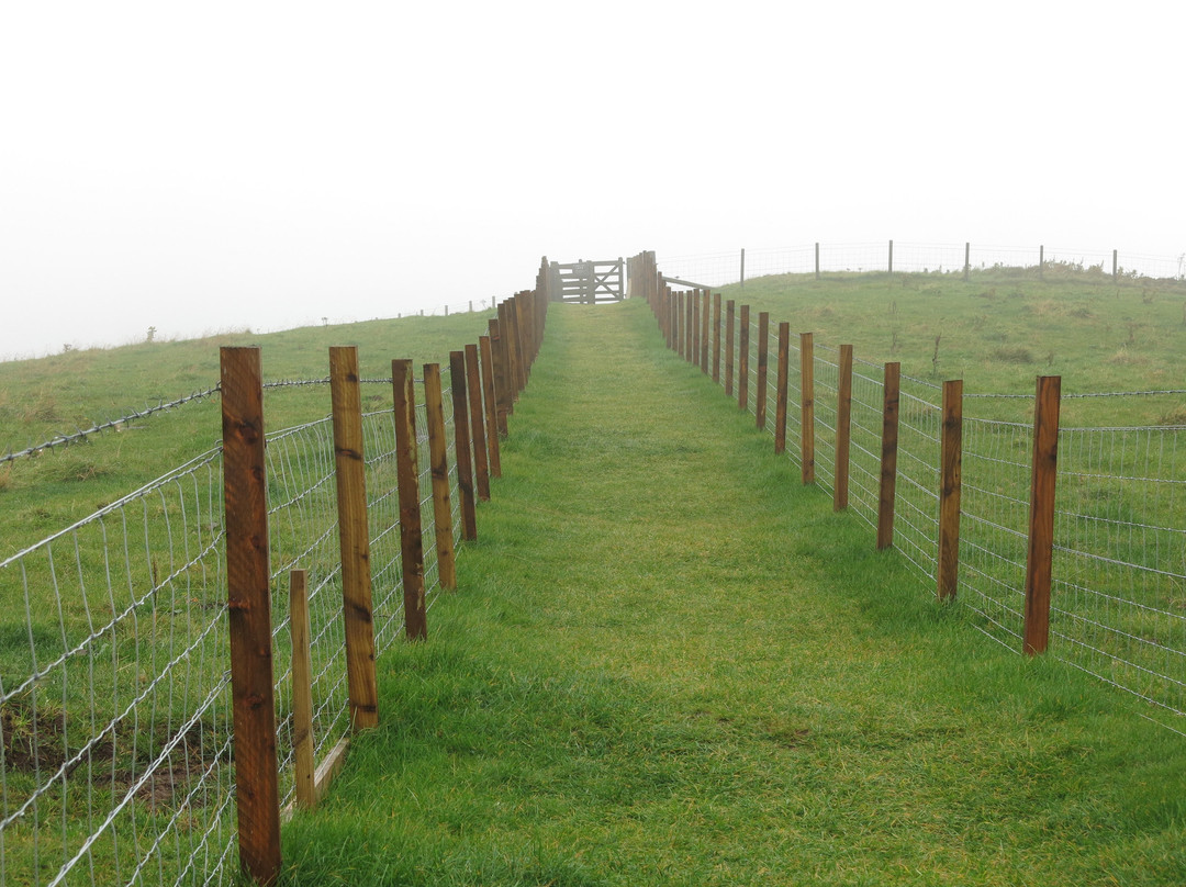 Cairnpapple Hill-Bathgate必去景点