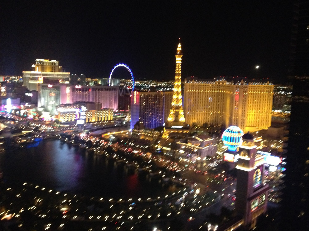 New Vegas VIP景点图片