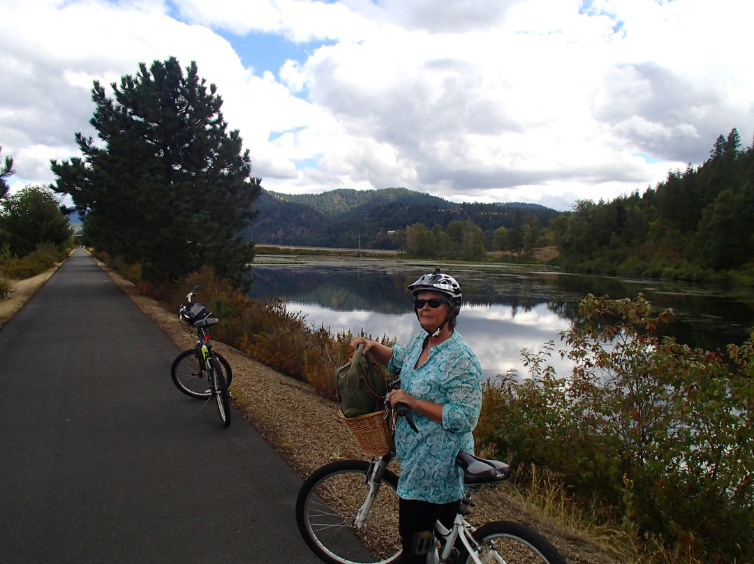 Coeur d'Alene National Forest