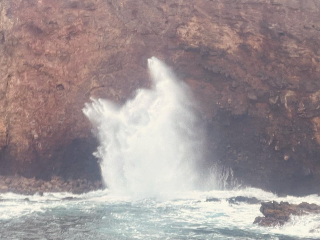 Lanai Snorkeling Tour