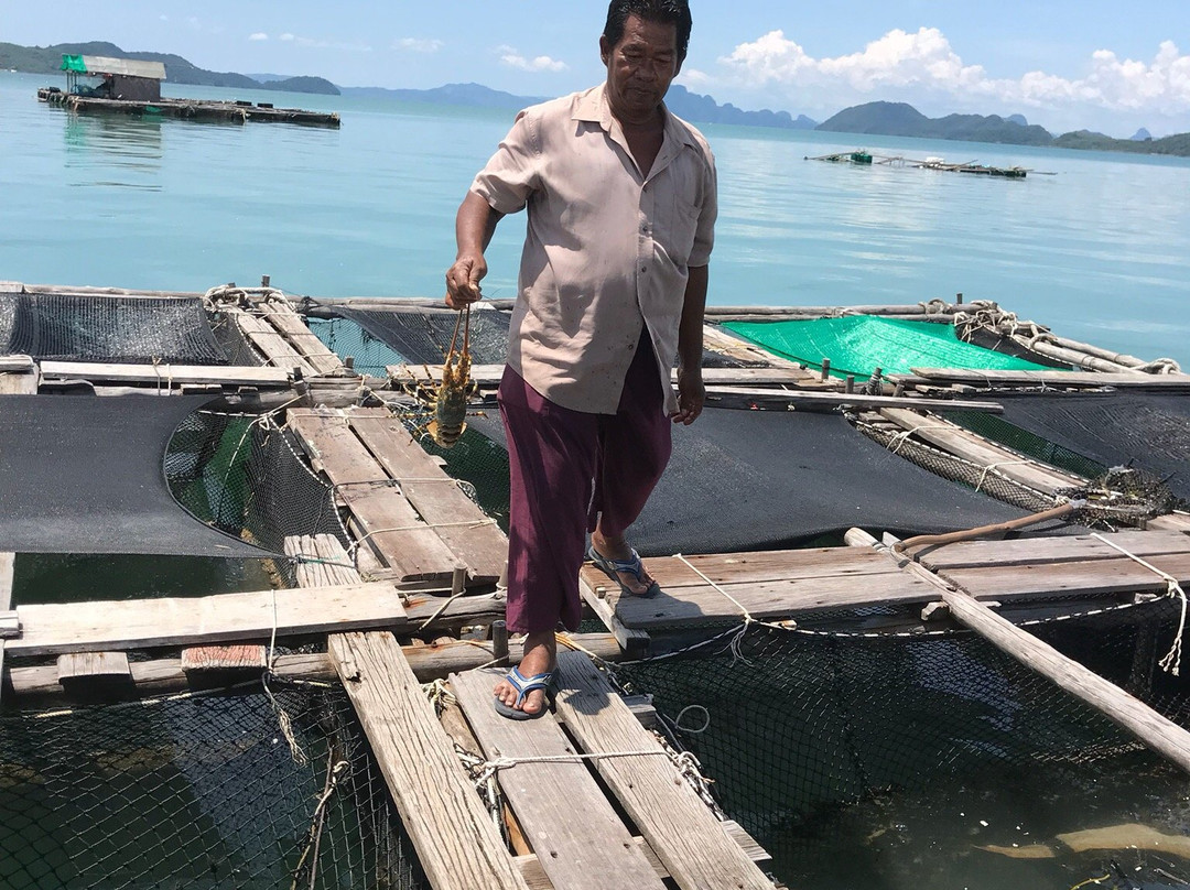 Koh Yao Yai Green Island Tour & Trip-阁耀亚伊岛必去景点