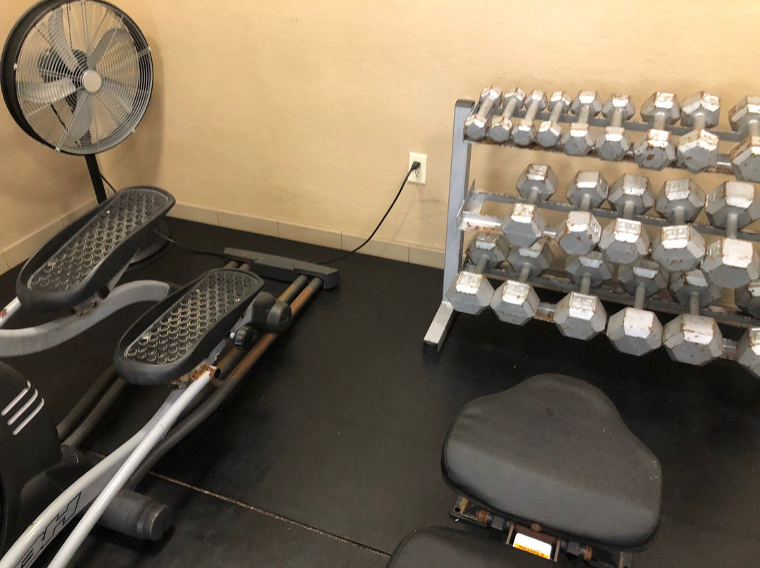 Comfort Inn Elko主图