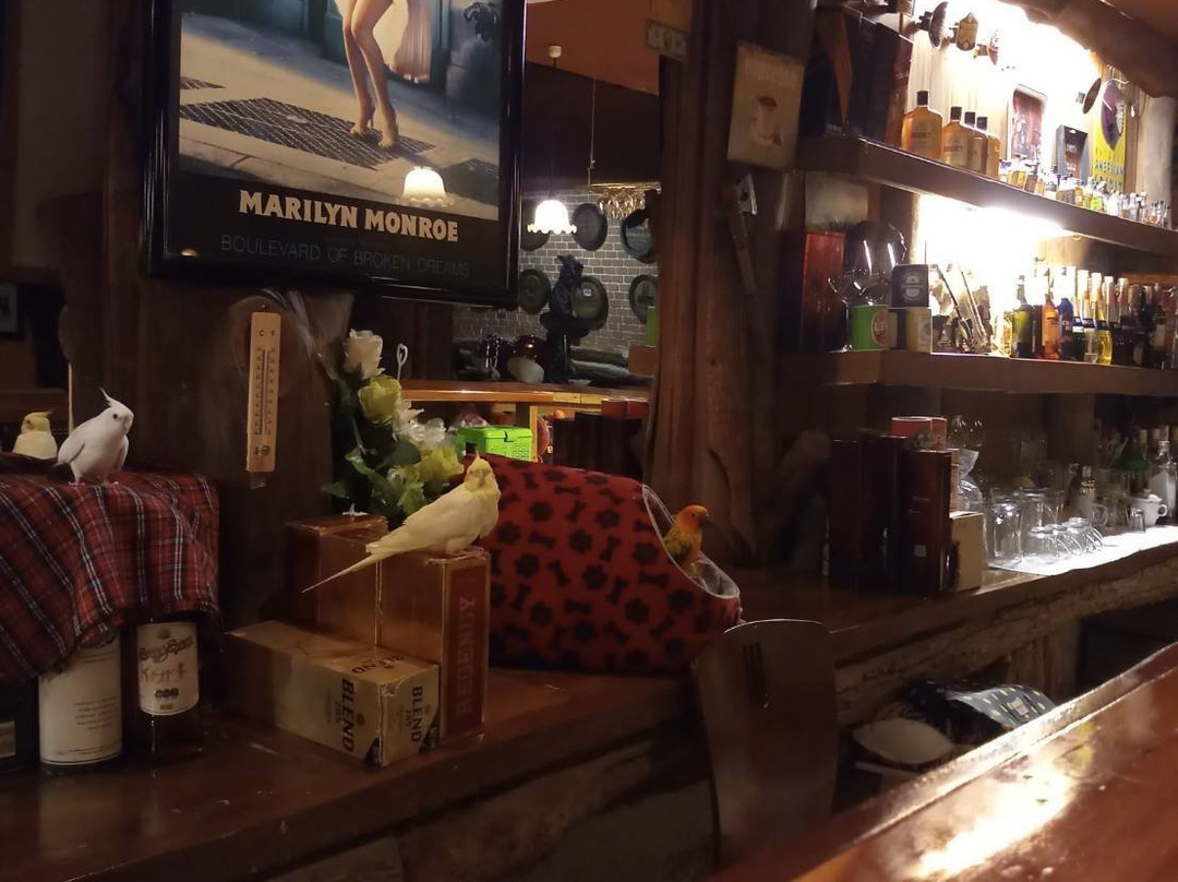 Picking Cowboy-莫达汉必去景点