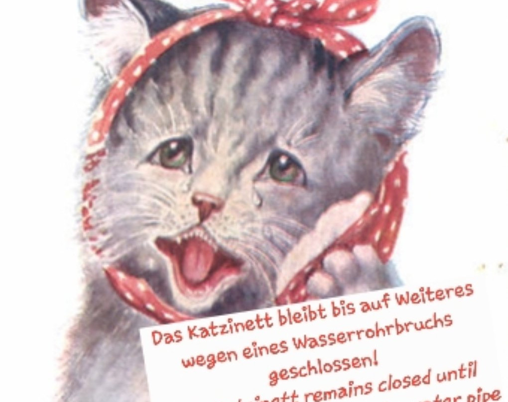 Katzinett - Katzenmuseum Ludwigshafen - Cat Museum景点图片