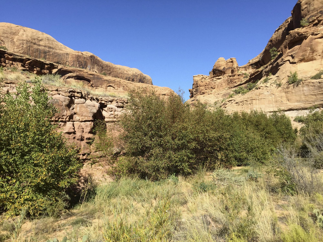 Grandstaff Canyon Trail景点图片