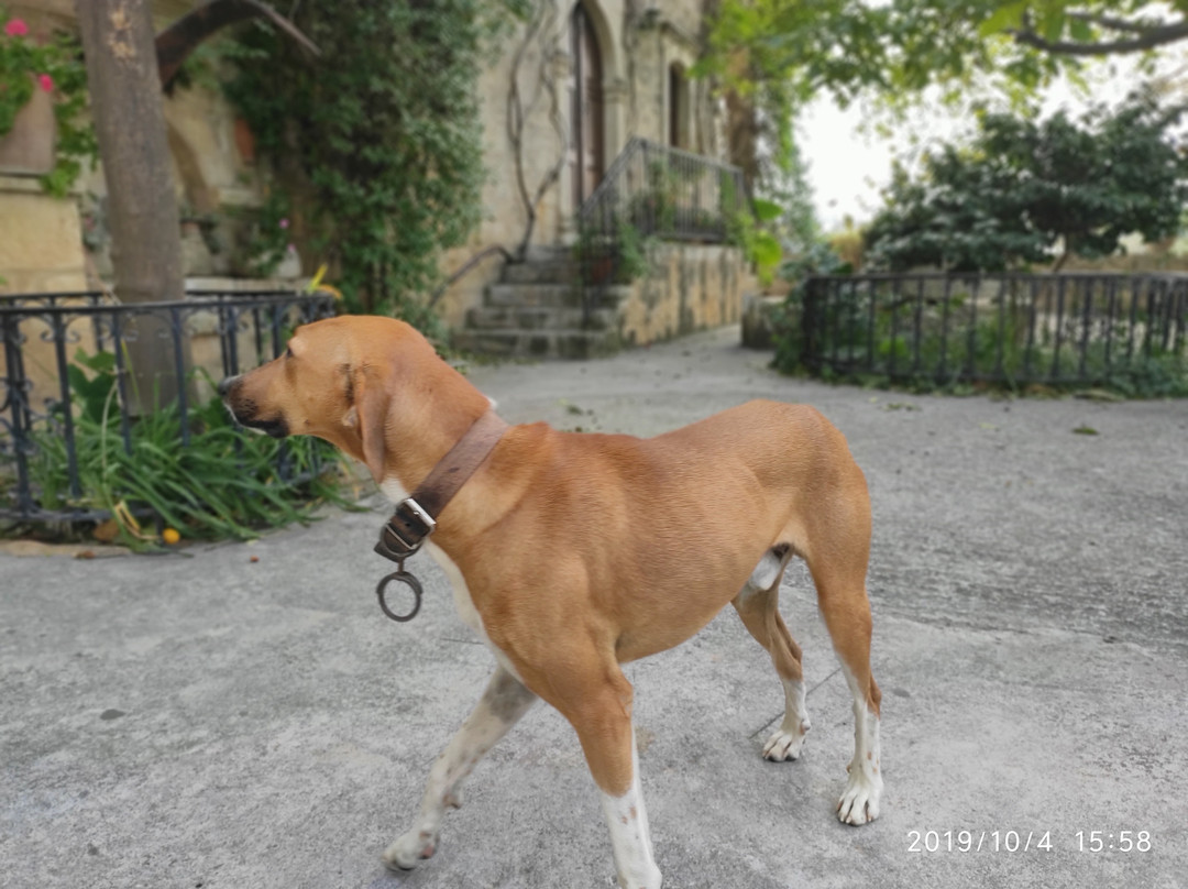 Monastery of Christ and St. Gedeon-Margarites必去景点