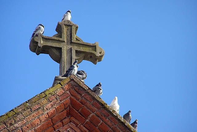 BASÍLICA de la NATIVIDAD de la SANTÍSIMA VIRGEN景点图片