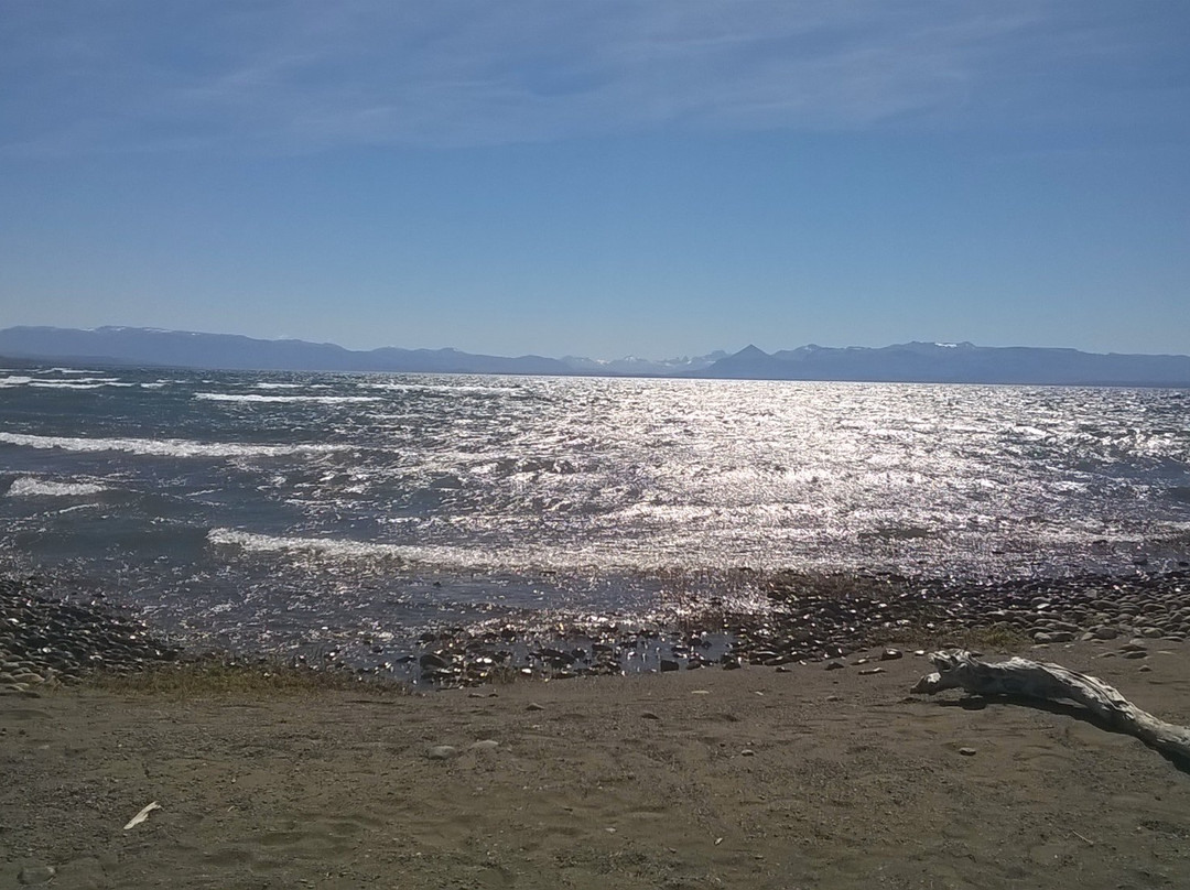 Los Antiguos旅游景点-Parque Nacional Patagonia