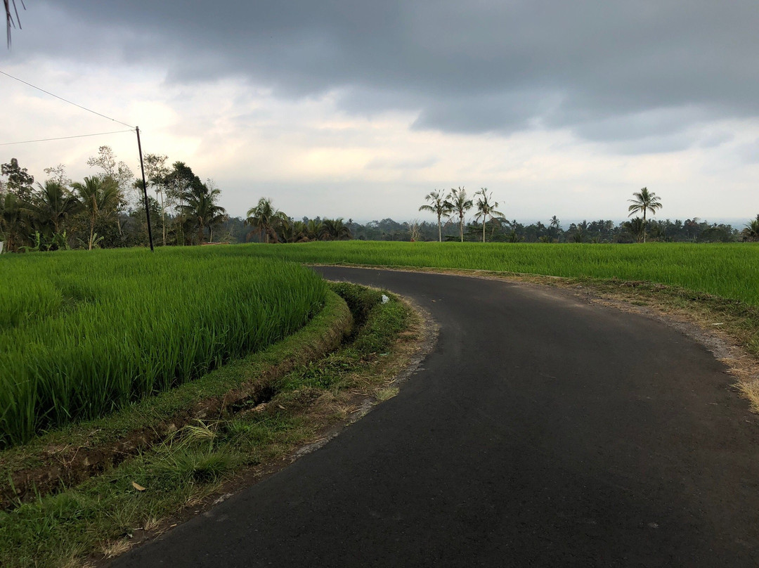 Kubu D’Ume Homestay主图