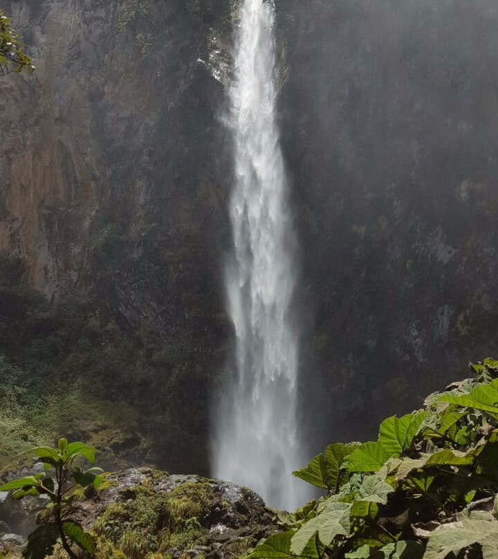 Bolivar旅游景点-Waterfall San Roque