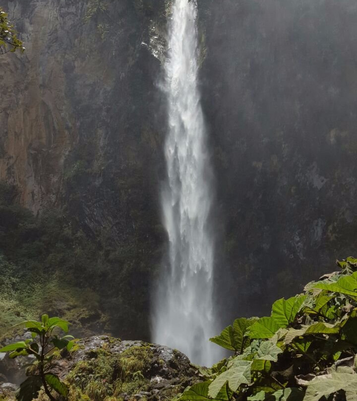 Waterfall San Roque景点图片