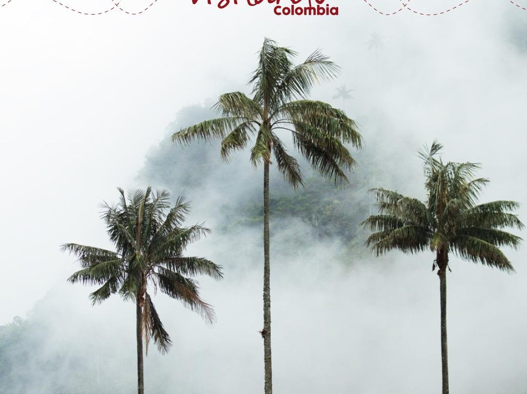 Visitando Colombia SAS-亚美尼亚必去景点