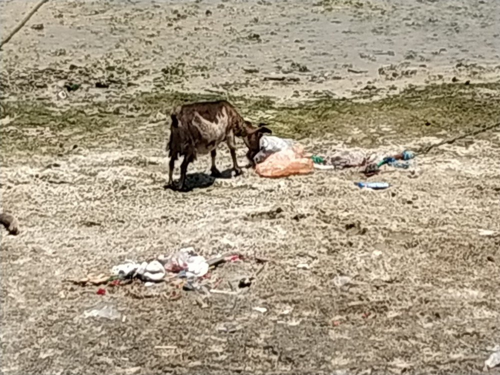 Gili Ketapang景点图片