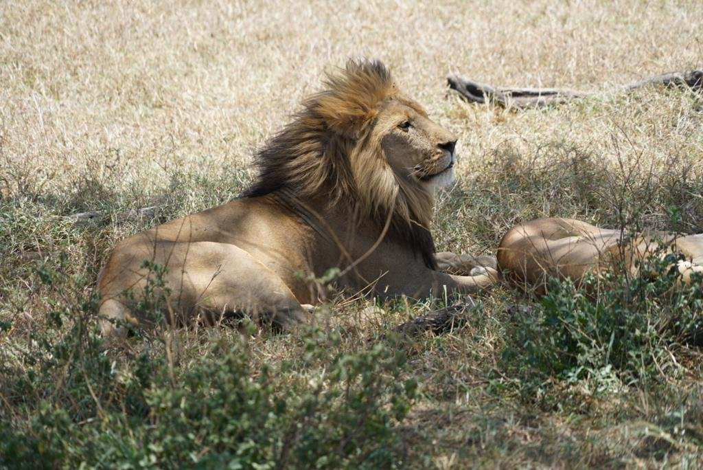 Extrema Expeditions-阿鲁沙必去景点