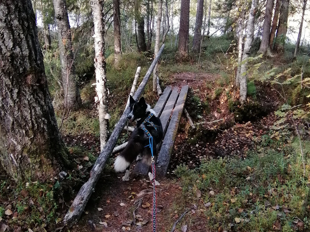 Routa Travel-Kuhmo必去景点