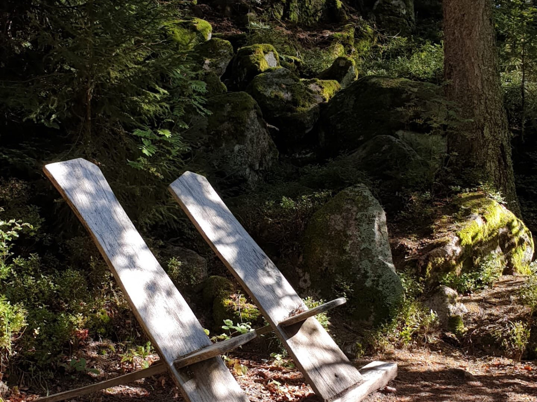 Hochtal Steig-Bernau im Schwarzwald必去景点
