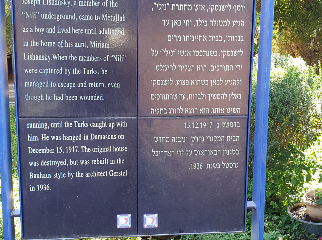 Lishansky Since 1936主图